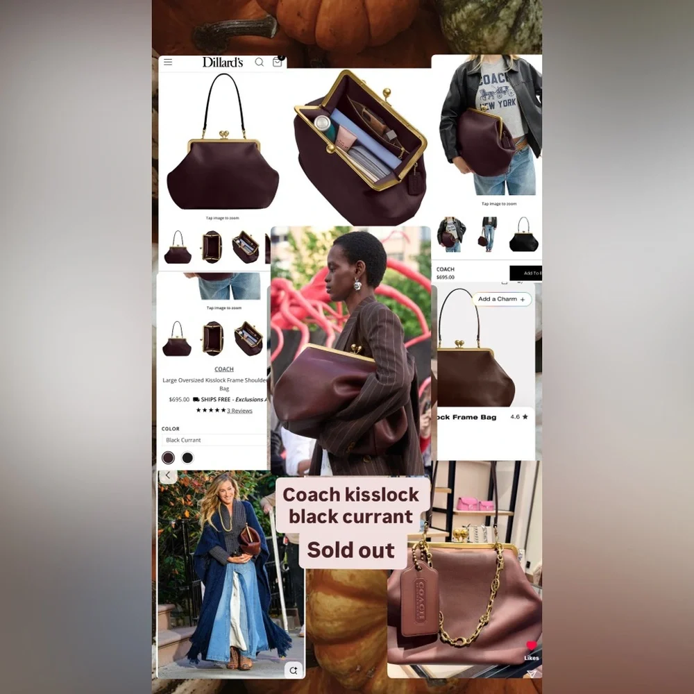 Coach Large Kisslock Frame Bag - Picture 8 of 16